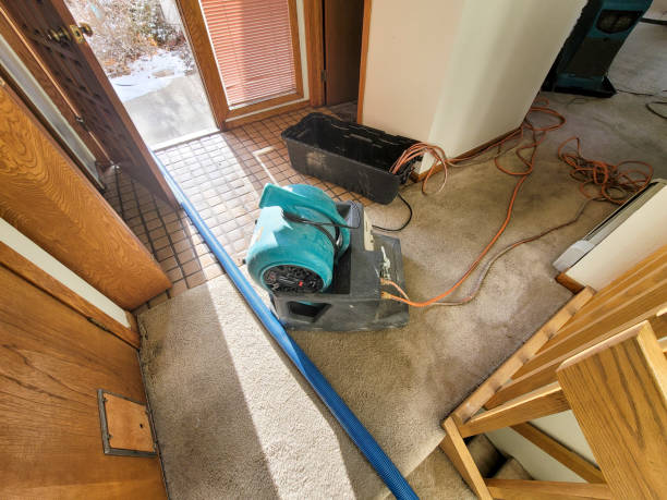 Best Ceiling water damage repair  in Fort Ashby, WV
