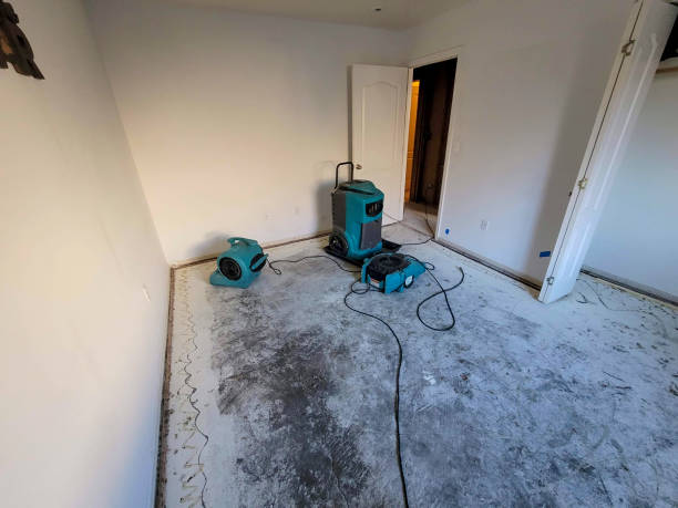 Best Local water damage restoration  in Fort Ashby, WV