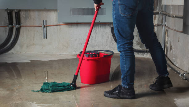 Best Water damage restoration company  in Fort Ashby, WV