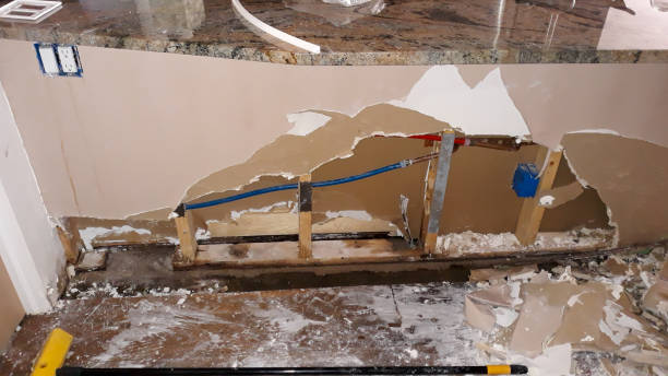 Best Basement water damage restoration  in Fort Ashby, WV