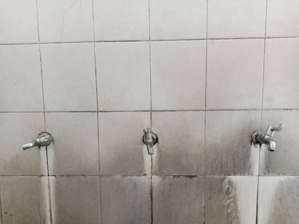 Best Carpet water damage restoration  in Fort Ashby, WV