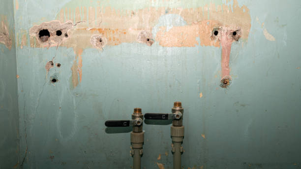 Best Water damage mitigation services  in Fort Ashby, WV