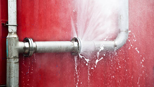 Best 24/7 water damage repair  in Fort Ashby, WV