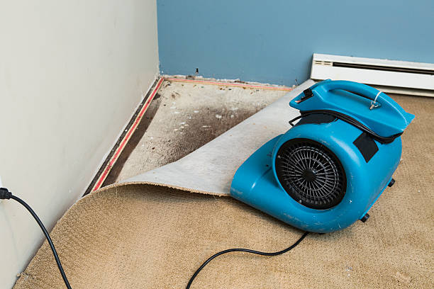 Professional Water damage restoration in WV